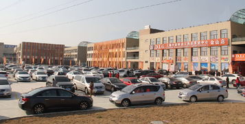 上海金山國際貿易城ⅱ期盛大試營業