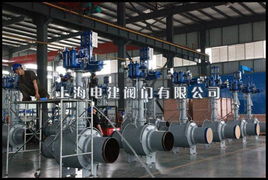 上海電建閥門廠