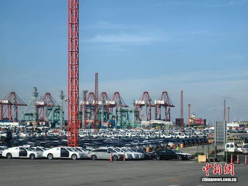 前三季度經濟數據展現上海經濟韌性 上海貿易穩中提質彰顯開放活力